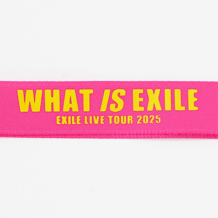 【福井限定】WHAT IS EXILE キーホルダー 詳細画像 カラー共通 2