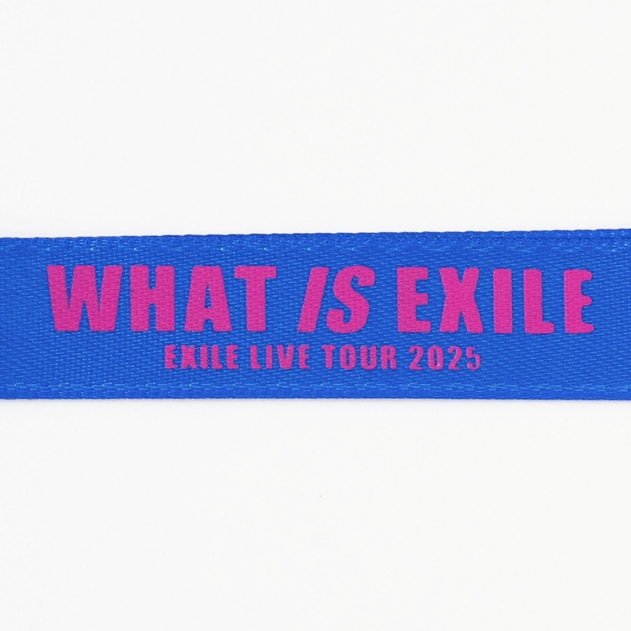 【6/1兵庫限定】WHAT IS EXILE キーホルダー 詳細画像 カラー共通 2