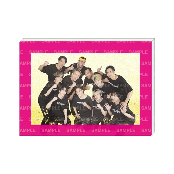 WHAT IS EXILE Special Thanks フォトフレーム/福井