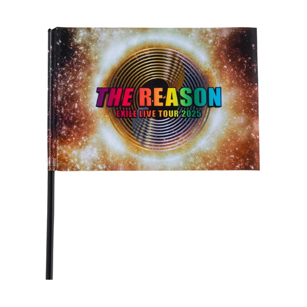 THE REASON フラッグ