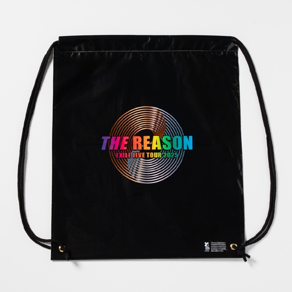 THE REASON ビニールバッグ 詳細画像