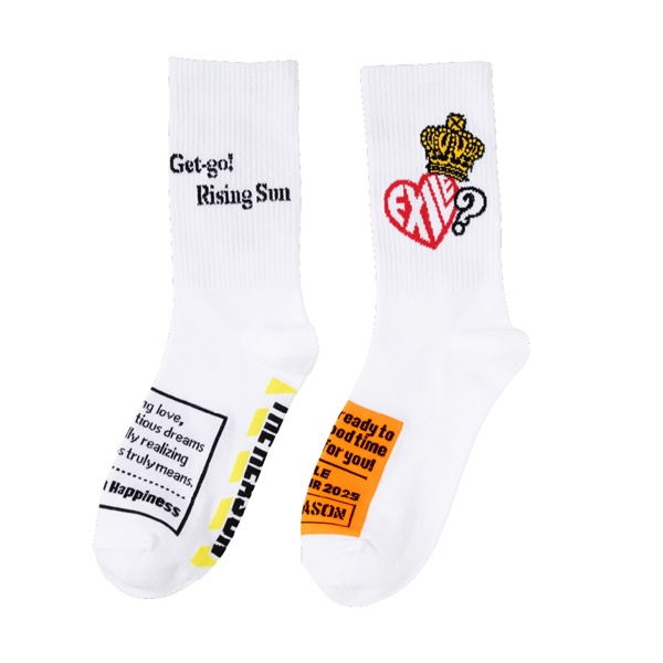 THE REASON ソックス