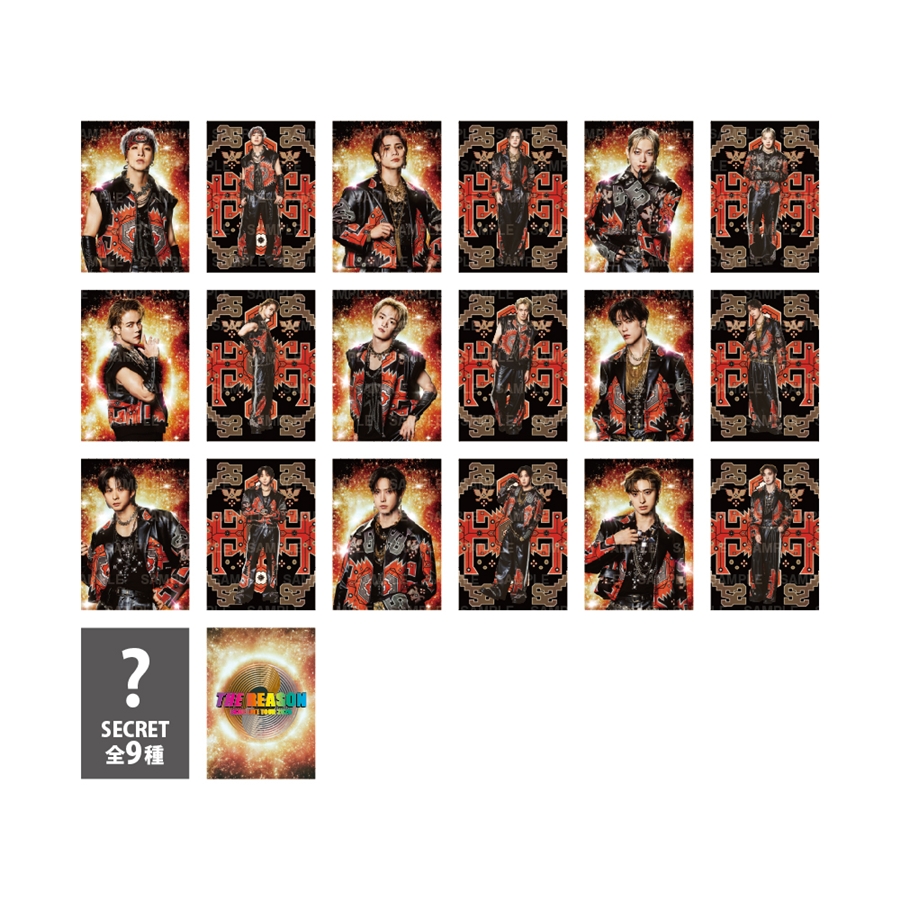 THE REASON フォトカード/STARTING MEMBER/全18種+シークレット9種 詳細画像 OTHER 1