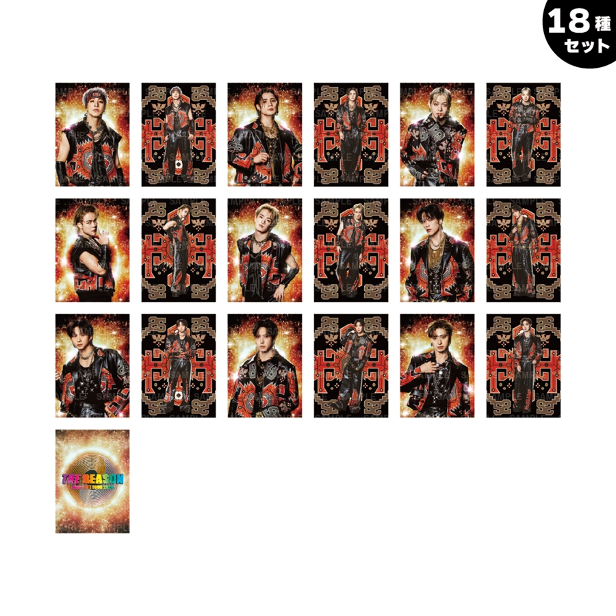 THE REASON フォトカード/STARTING MEMBER/18種セット 詳細画像 OTHER 1