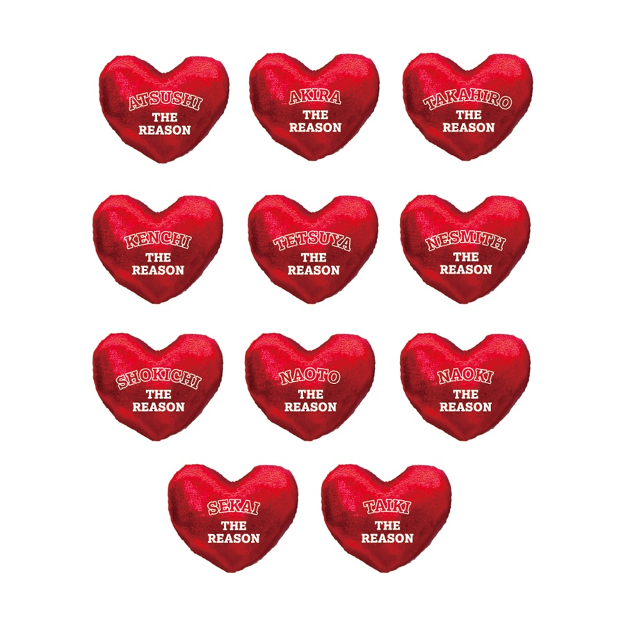 THE REASON ヘアゴム/EXILE/全11種 詳細画像 OTHER 1