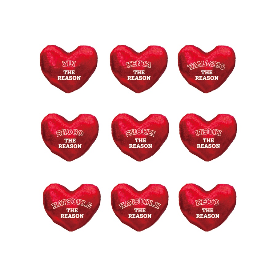 THE REASON ヘアゴム/STARTING MEMBER/全9種 詳細画像 OTHER 1