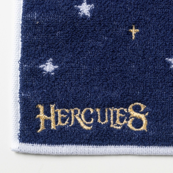 武道館 LIVE 2025 HERCULES ハンドタオル 詳細画像