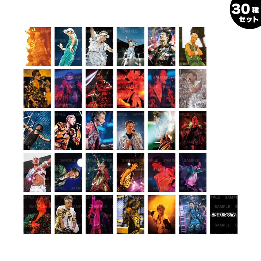 EXILE COSTUME EXHIBITION 2025 フォトカード/30種セット 詳細画像 OTHER 1