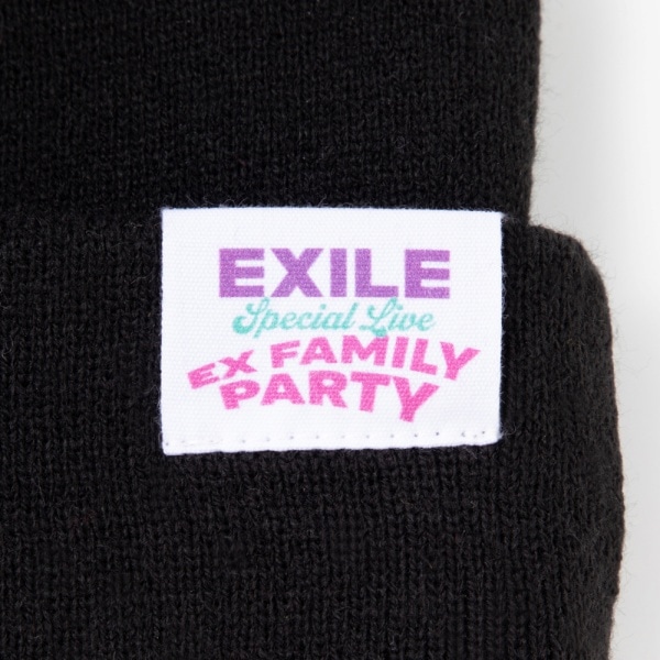 EX FAMILY PARTY ニットキャップ 詳細画像