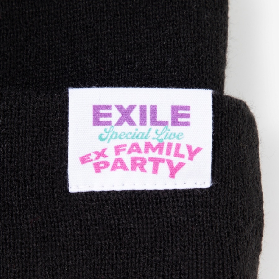 EX FAMILY PARTY ニットキャップ 詳細画像 カラー共通 1