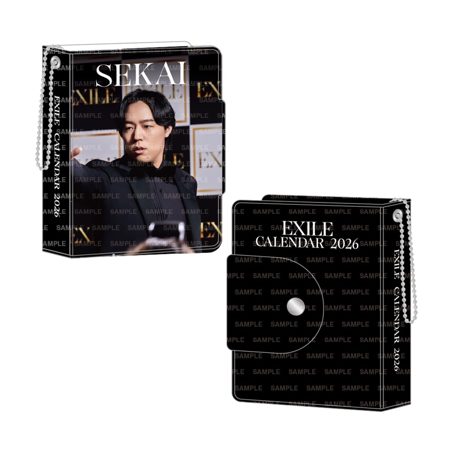 EXILE 2026 カレンダー ミニフォトカードホルダー&フォトカードセット 詳細画像 世界 1