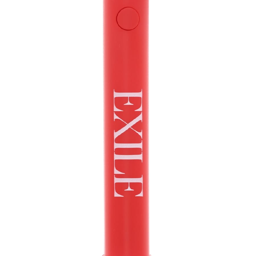 OFFICIAL FLAG LIGHT PERFECT YEAR EDITION/EXILE ver. 詳細画像 カラー共通 3