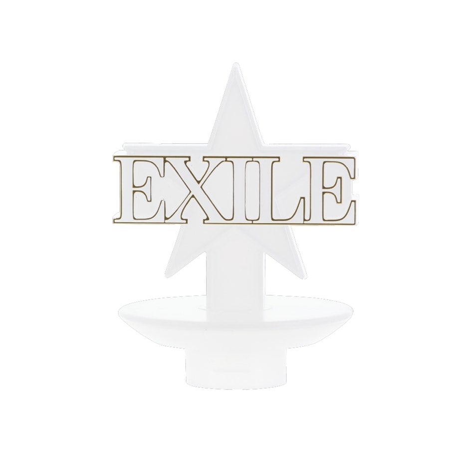 EXILE OFFICIAL LIGHT STICK CUSTOM PARTS 詳細画像 OTHER 1