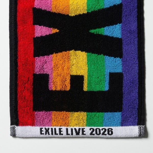 THE REASON ～PERFECT YEAR Special～ マフラータオル 詳細画像