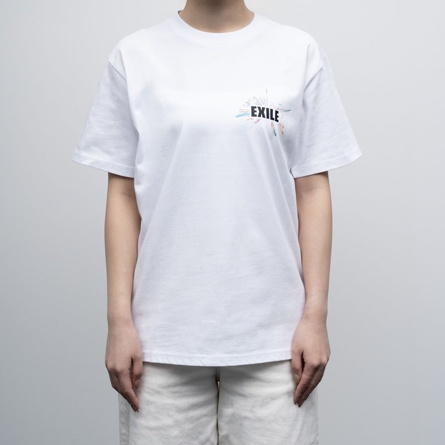 THE REASON ～PERFECT YEAR Special～ ツアーTシャツ/WHITE 詳細画像 カラー共通 4