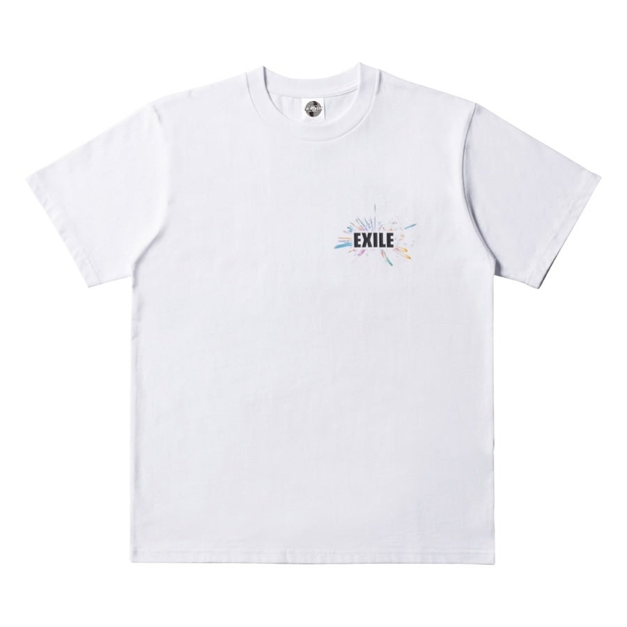 THE REASON ～PERFECT YEAR Special～ ツアーTシャツ/WHITE 詳細画像 WHITE 1