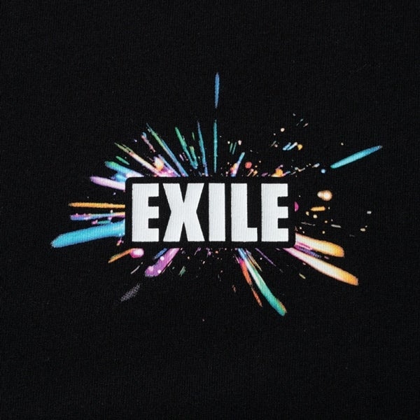 THE REASON ～PERFECT YEAR Special～ ツアーTシャツ/BLACK 詳細画像