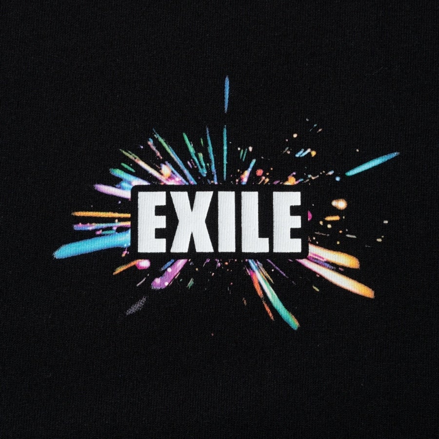 THE REASON ～PERFECT YEAR Special～ ツアーTシャツ/BLACK 詳細画像 カラー共通 2