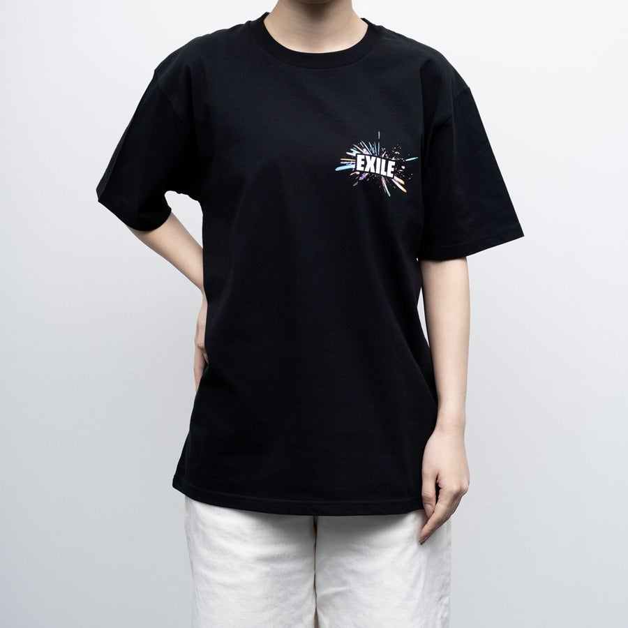 THE REASON ～PERFECT YEAR Special～ ツアーTシャツ/BLACK 詳細画像 カラー共通 4