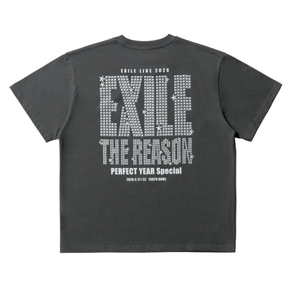 THE REASON ～PERFECT YEAR Special～ ロゴTシャツ/CHARCOAL GRAY 詳細画像