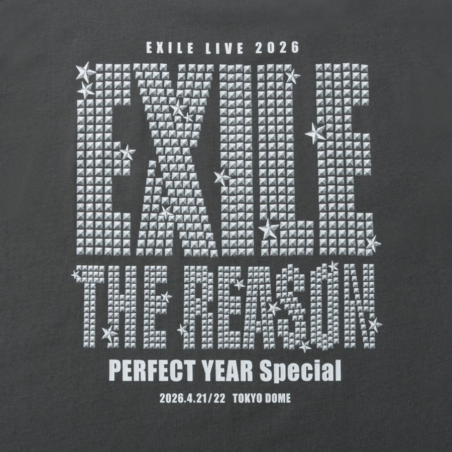 THE REASON ～PERFECT YEAR Special～ ロゴTシャツ/CHARCOAL GRAY 詳細画像 カラー共通 3