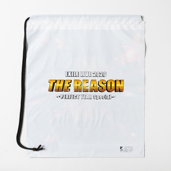 THE REASON ～PERFECT YEAR Special～ ビニールバッグ 詳細画像