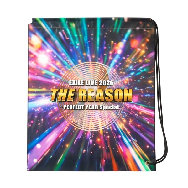 THE REASON ～PERFECT YEAR Special～ ビニールバッグ