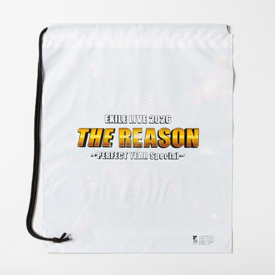 THE REASON ～PERFECT YEAR Special～ ビニールバッグ 詳細画像 カラー共通 1