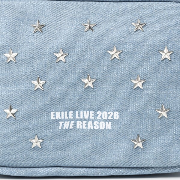 THE REASON ～PERFECT YEAR Special～ デニムポーチ 詳細画像