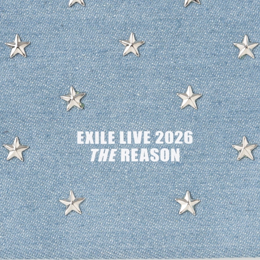 THE REASON ～PERFECT YEAR Special～ デニム巾着 詳細画像 カラー共通 1