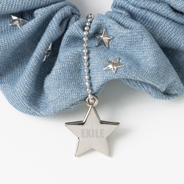 THE REASON ～PERFECT YEAR Special～ デニムシュシュ 詳細画像