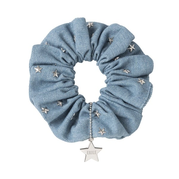 THE REASON ～PERFECT YEAR Special～ デニムシュシュ