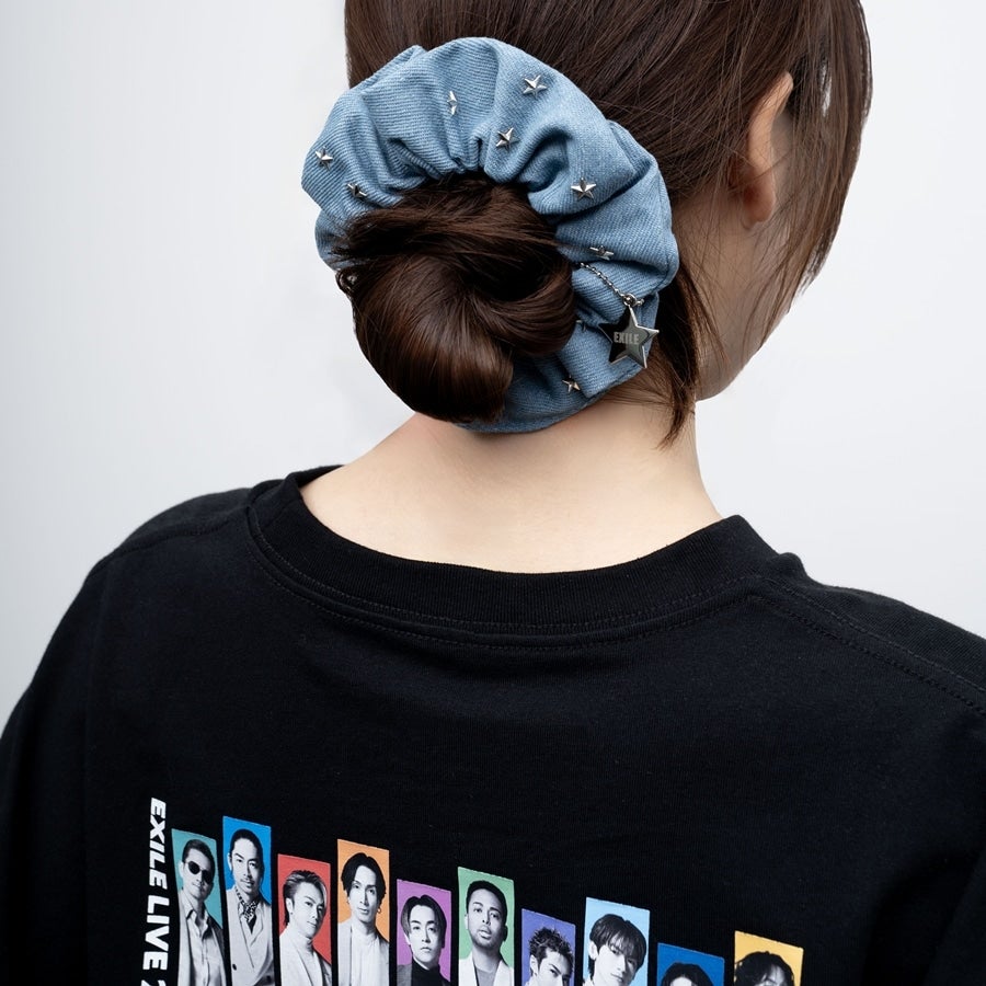 THE REASON ～PERFECT YEAR Special～ デニムシュシュ 詳細画像 カラー共通 3