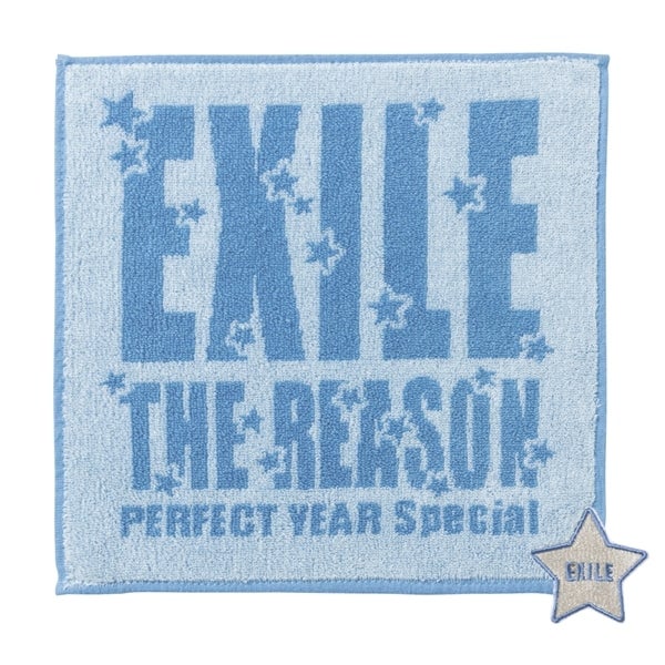 THE REASON ～PERFECT YEAR Special～ ハンドタオル