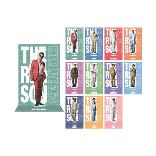 THE REASON ～PERFECT YEAR Special～ アクリルスタンド/EXILE/全11種