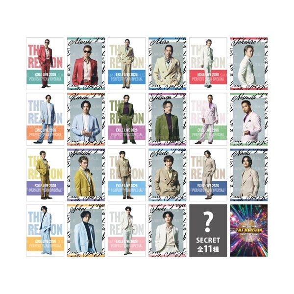 THE REASON ～PERFECT YEAR Special～ フォトカード/EXILE/全22種+シークレット11種