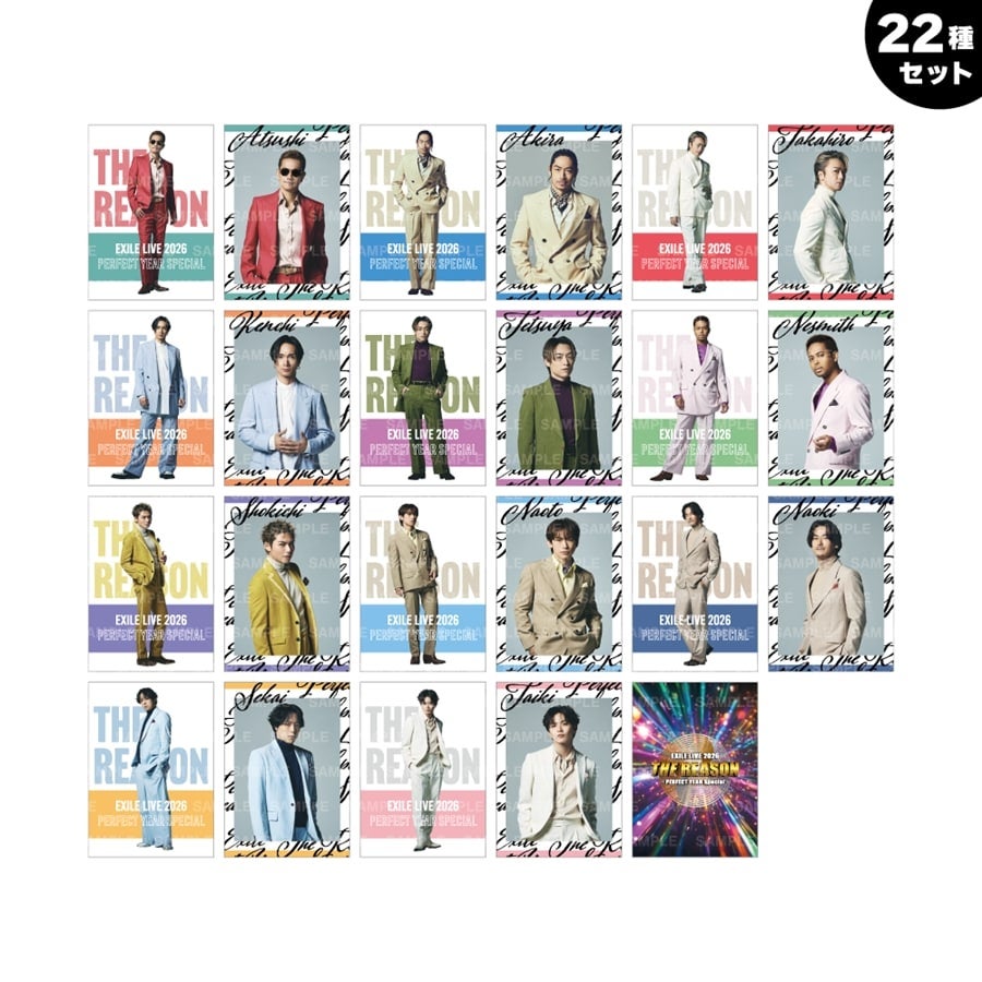 THE REASON ～PERFECT YEAR Special～ フォトカード/EXILE/22種セット 詳細画像 OTHER 1