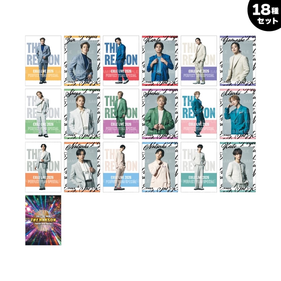 THE REASON ～PERFECT YEAR Special～ フォトカード/STARTING MEMBER/18種セット 詳細画像 OTHER 1