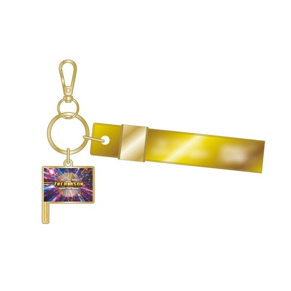 【FC限定】THE REASON ～PERFECT YEAR Special～ Special Thanks 金テープ風キーリング