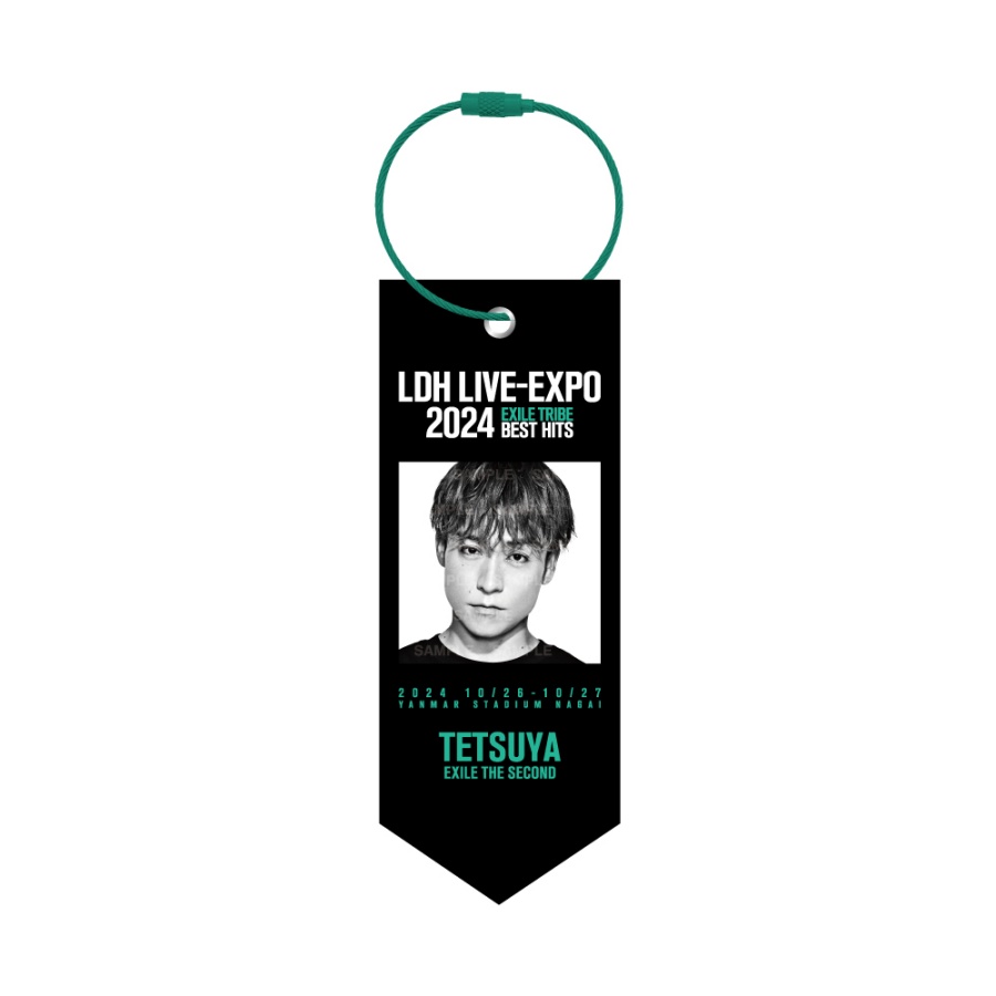 LDH LIVE-EXPO 2024 ミニタペストリー/EXILE 詳細画像 EXILE TETSUYA 1
