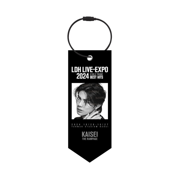 LDH LIVE-EXPO 2024 ミニタペストリー/THE RAMPAGE 詳細画像