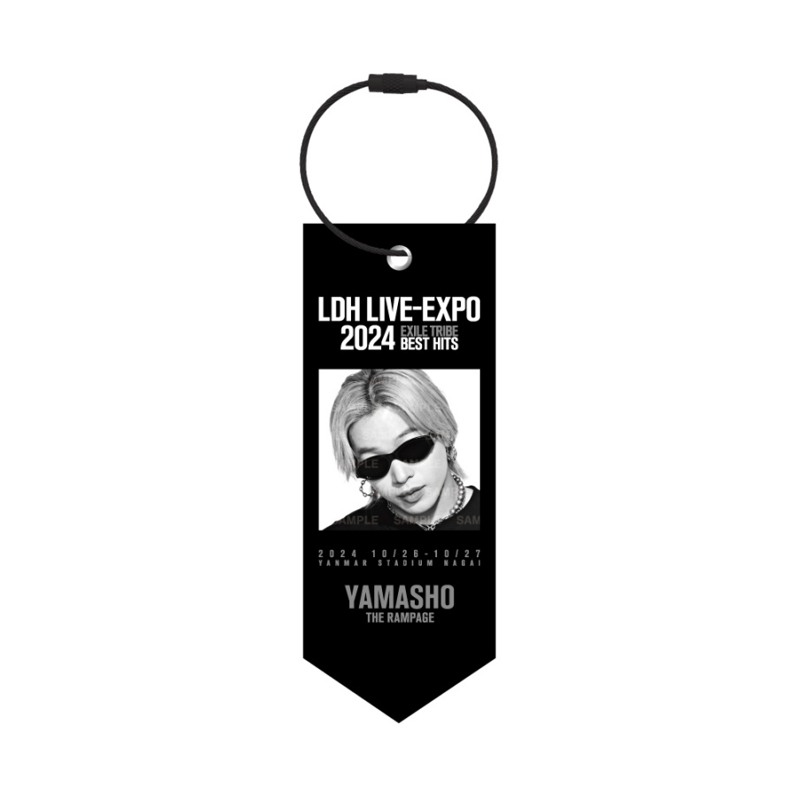 LDH LIVE-EXPO 2024 ミニタペストリー/THE RAMPAGE 詳細画像 山本彰吾 1