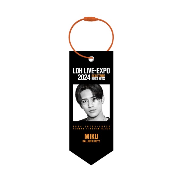 LDH LIVE-EXPO 2024 ミニタペストリー/BALLISTIK BOYZ 詳細画像