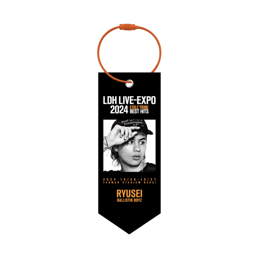 LDH LIVE-EXPO 2024 ミニタペストリー/BALLISTIK BOYZ 詳細画像 海沼流星 1