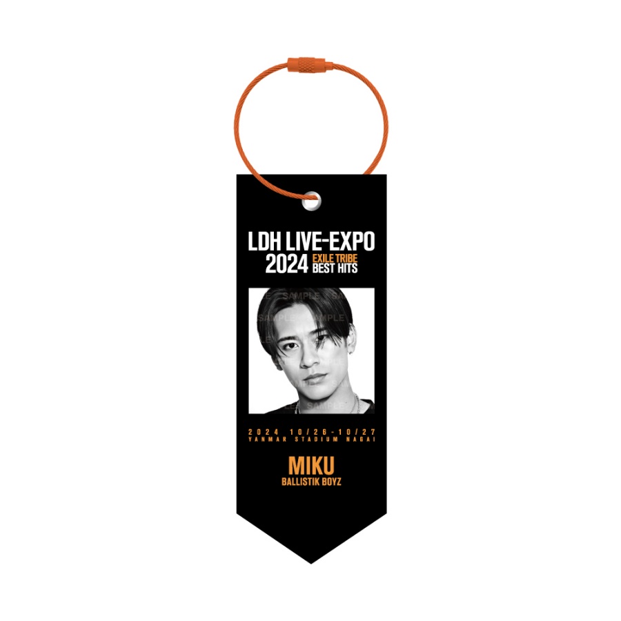LDH LIVE-EXPO 2024 ミニタペストリー/BALLISTIK BOYZ 詳細画像 深堀未来 1