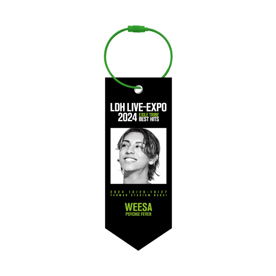 LDH LIVE-EXPO 2024 ミニタペストリー/PSYCHIC FEVER 詳細画像 WEESA 1