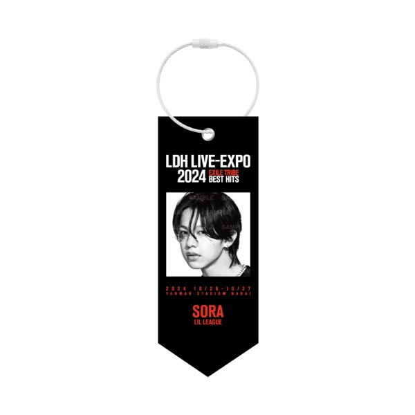 LDH LIVE-EXPO 2024 ミニタペストリー/LIL LEAGUE 詳細画像