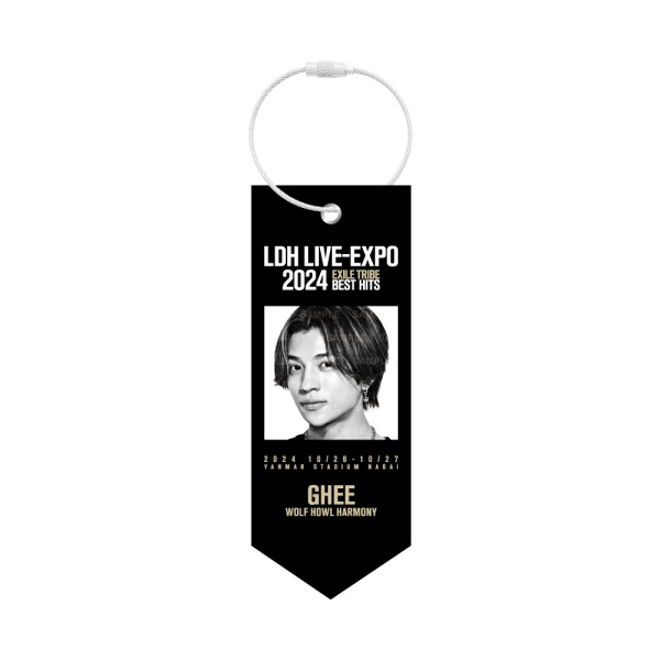 LDH LIVE-EXPO 2024 ミニタペストリー/WOLF HOWL HARMONY 詳細画像