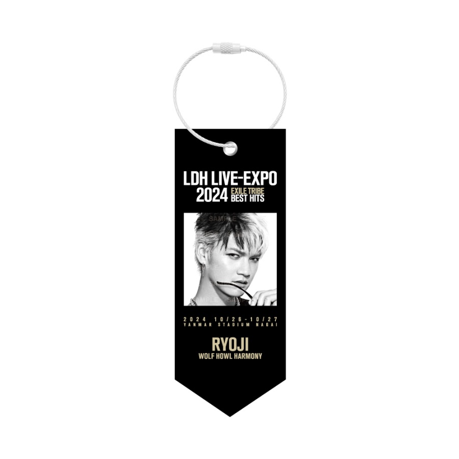 LDH LIVE-EXPO 2024 ミニタペストリー/WOLF HOWL HARMONY 詳細画像 RYOJI 1