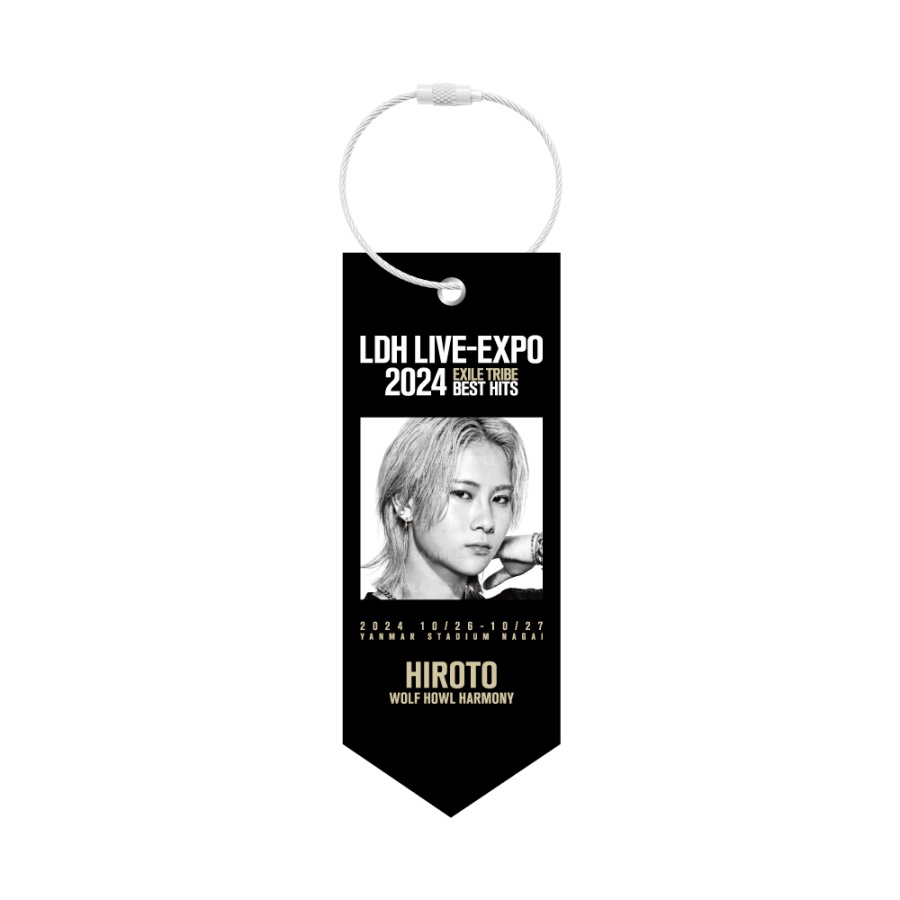 LDH LIVE-EXPO 2024 ミニタペストリー/WOLF HOWL HARMONY 詳細画像 HIROTO 1